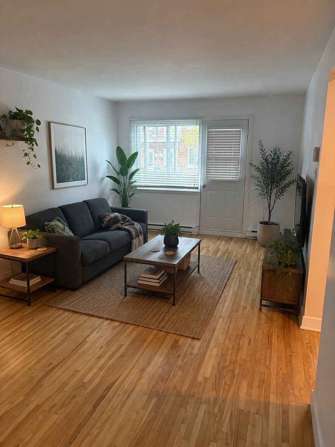 Living Room - 2-7728 Av. De L'Épée, Montréal (Villeray/Saint-Michel/Parc-Extension), QC - Indoor Photo Showing Living Room