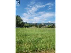 17th Street Lot# Lot 11 Grand Forks, BC V0H 1H0