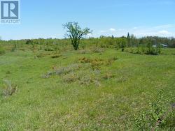 1178 COUNTY RD 121 ROAD Kawartha Lakes (Verulam), ON K0M 1N0