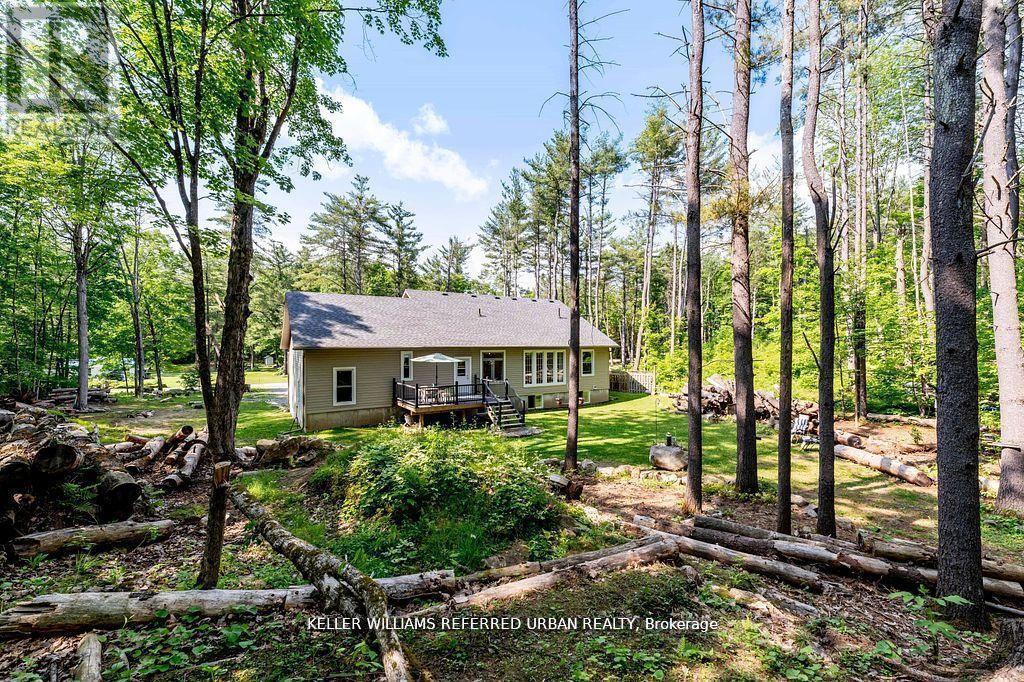 51 Pine Grove Road, Trent Hills, ON - Outdoor With Deck Patio Veranda