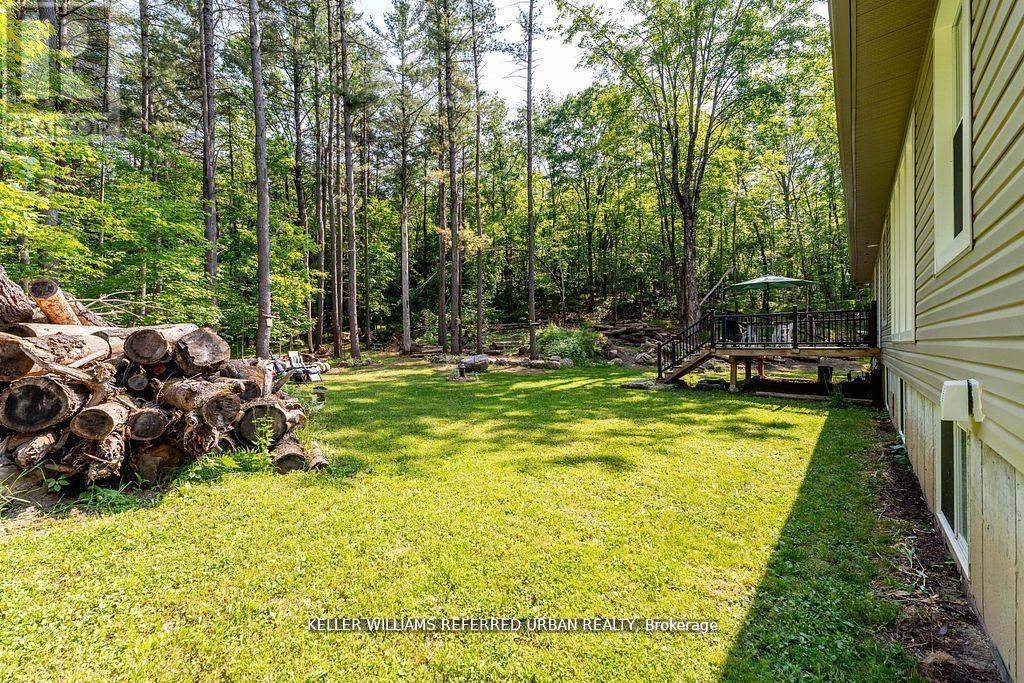 51 Pine Grove Road, Trent Hills, ON - Outdoor