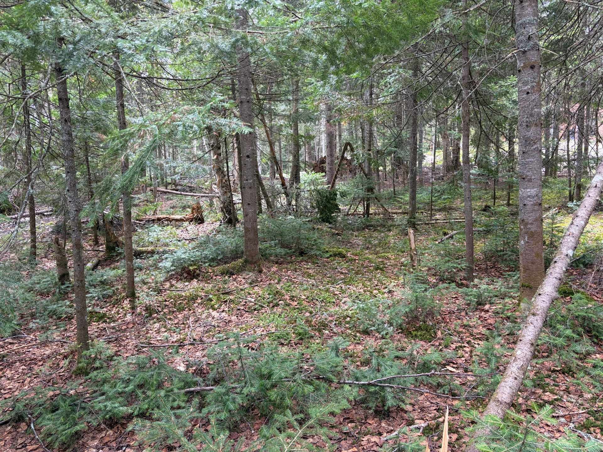 Other - Ch. Du Lac-Quenouille, Lac-Supérieur, QC