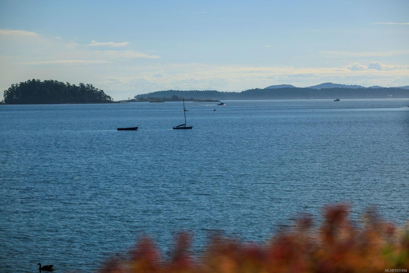 10303 Resthaven Dr, Sidney, BC - Outdoor With Body Of Water With View