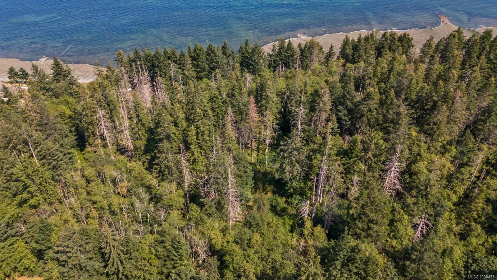 1494 Wilkinson Rd, Comox, BC