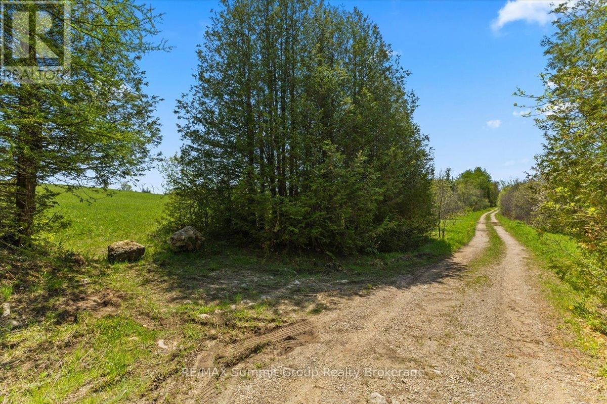 W Pt Lt 15 Sideroad 16B, Grey Highlands, ON