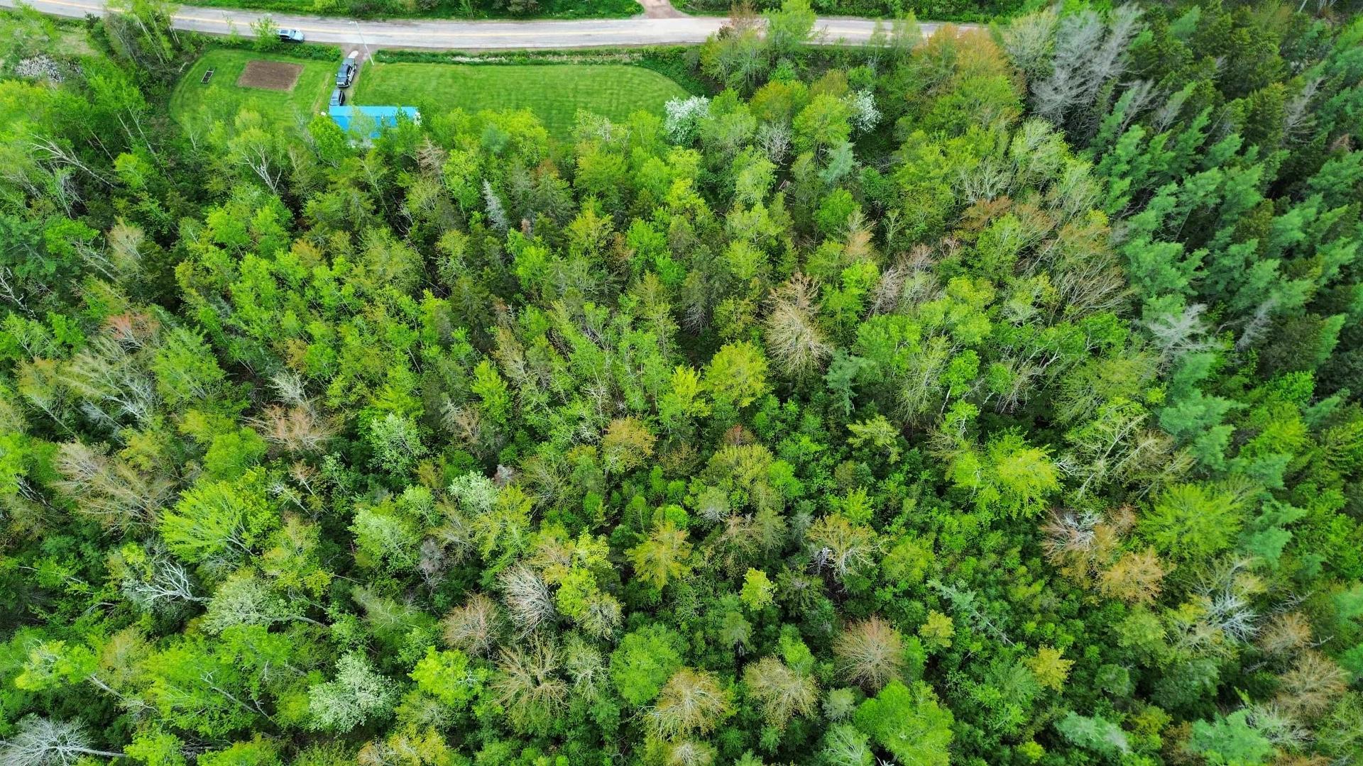128 Robinson Road, Amherst Head, NS