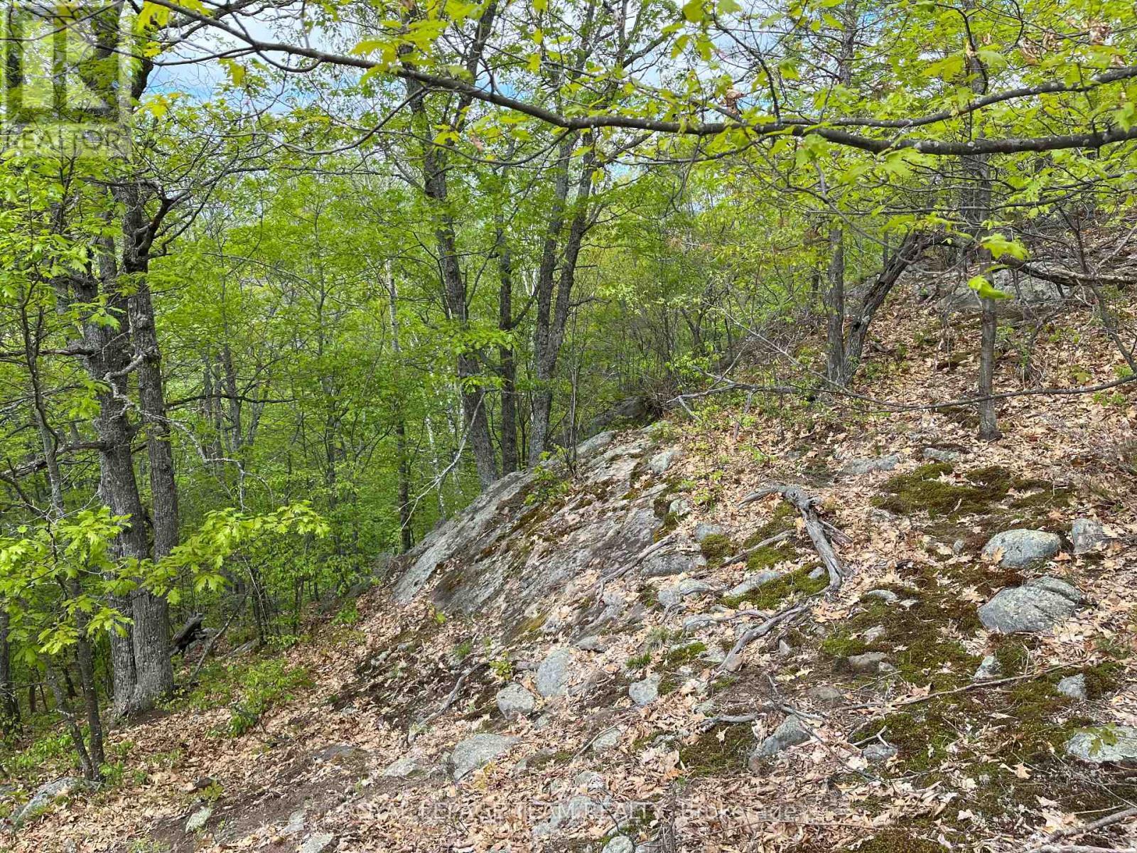 0 Wales Drive, Madawaska Valley, ON
