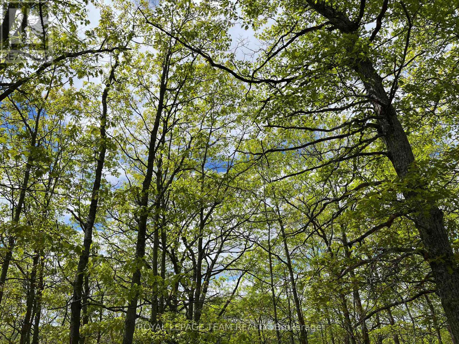 0 Wales Drive, Madawaska Valley, ON