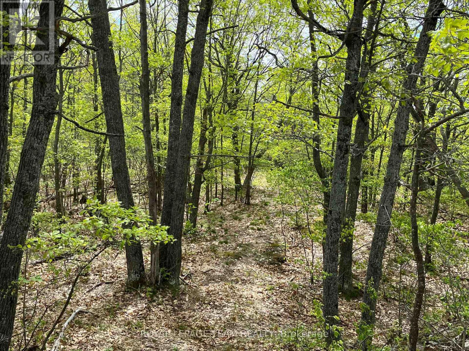 0 Wales Drive, Madawaska Valley, ON