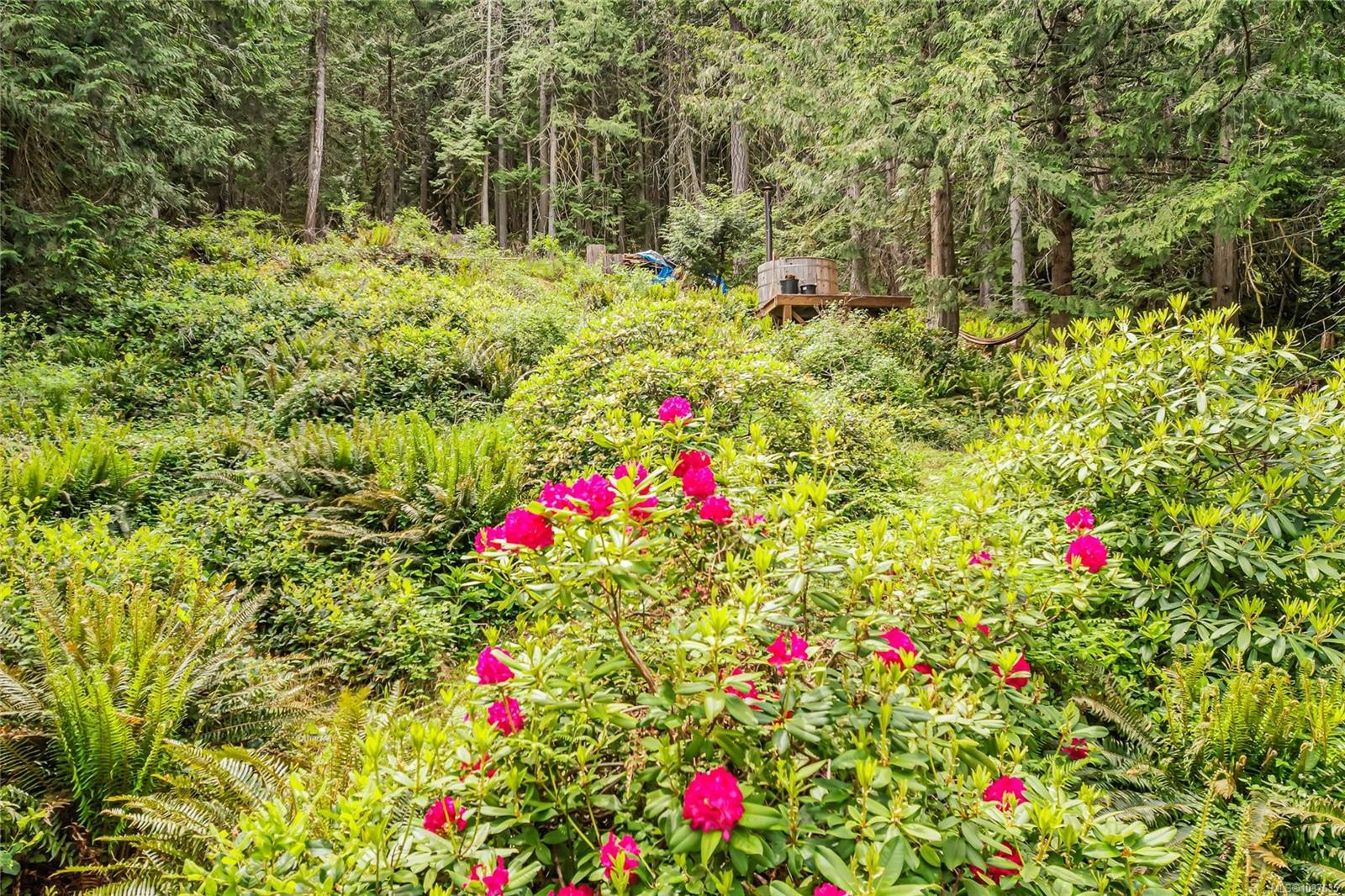 421 Mt. Belcher Hts, Salt Spring, BC
