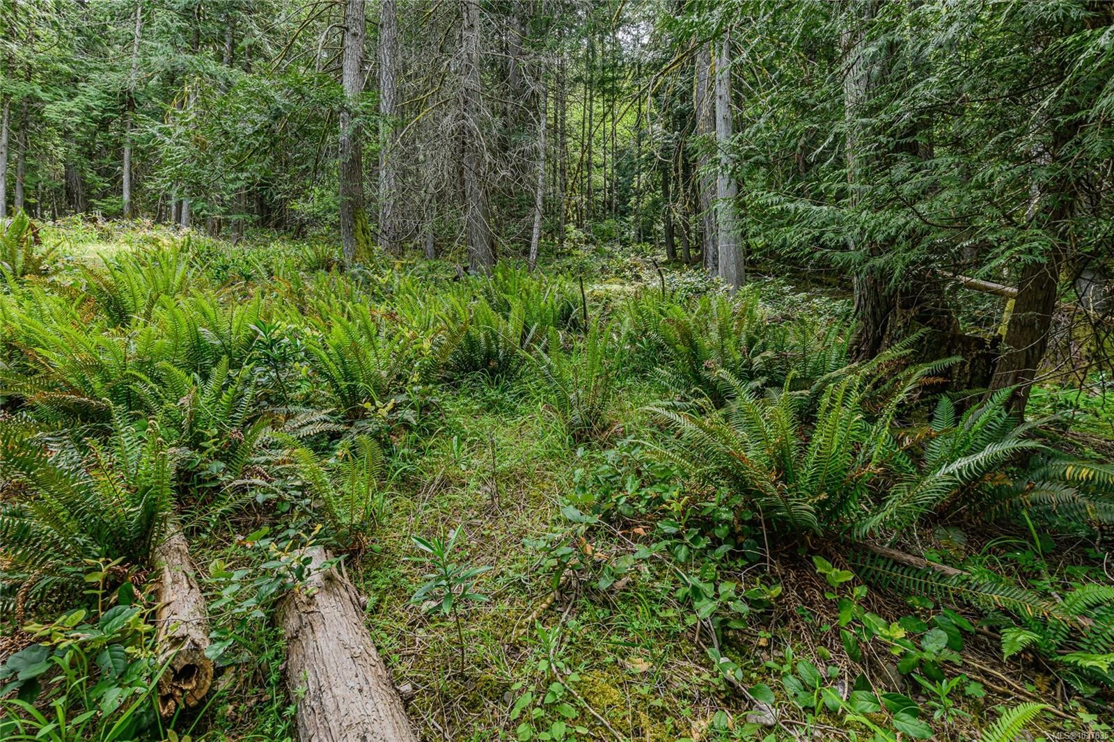 421 Mt. Belcher Hts, Salt Spring, BC