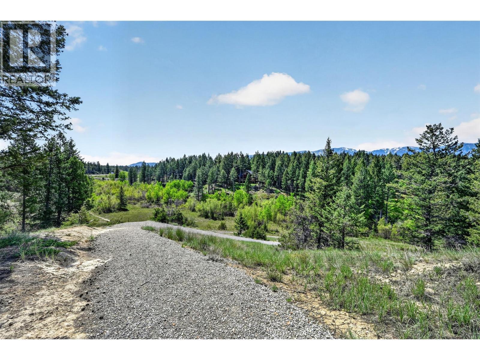 1067 Timberhill Place, Windermere, BC - Outdoor With View