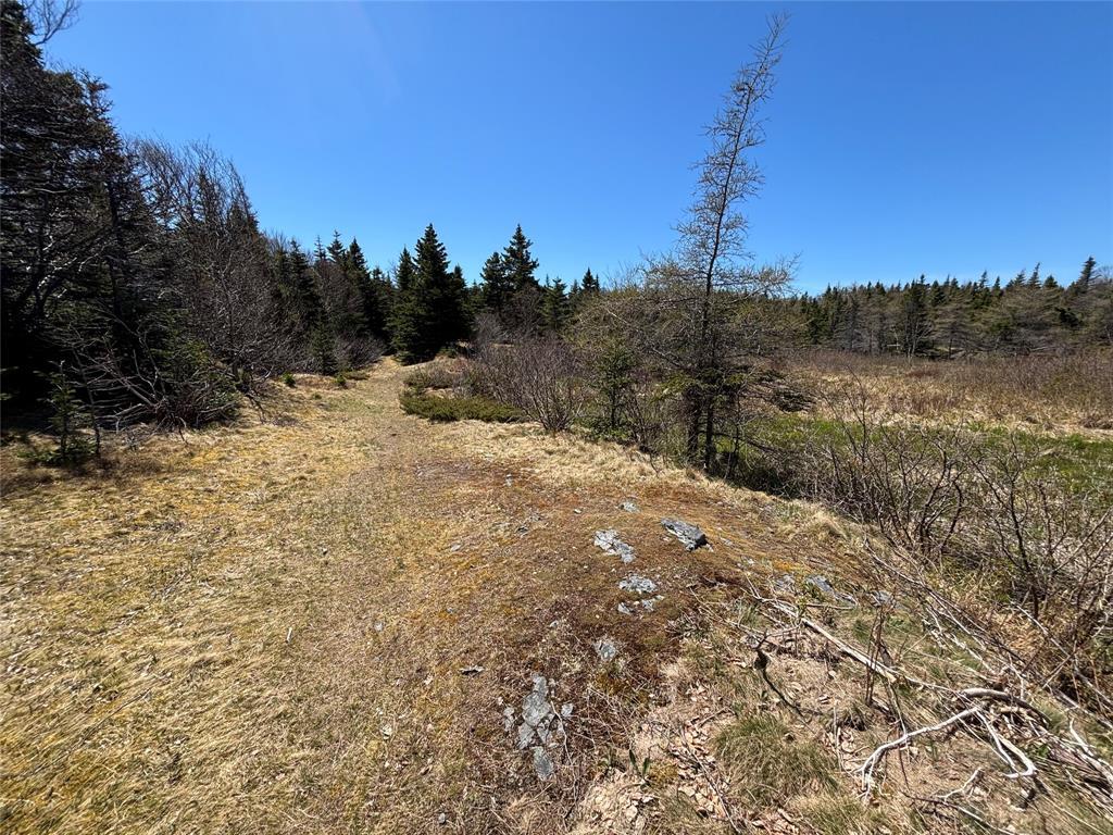 19-21 Lawrence Lane, Pouch Cove, NL