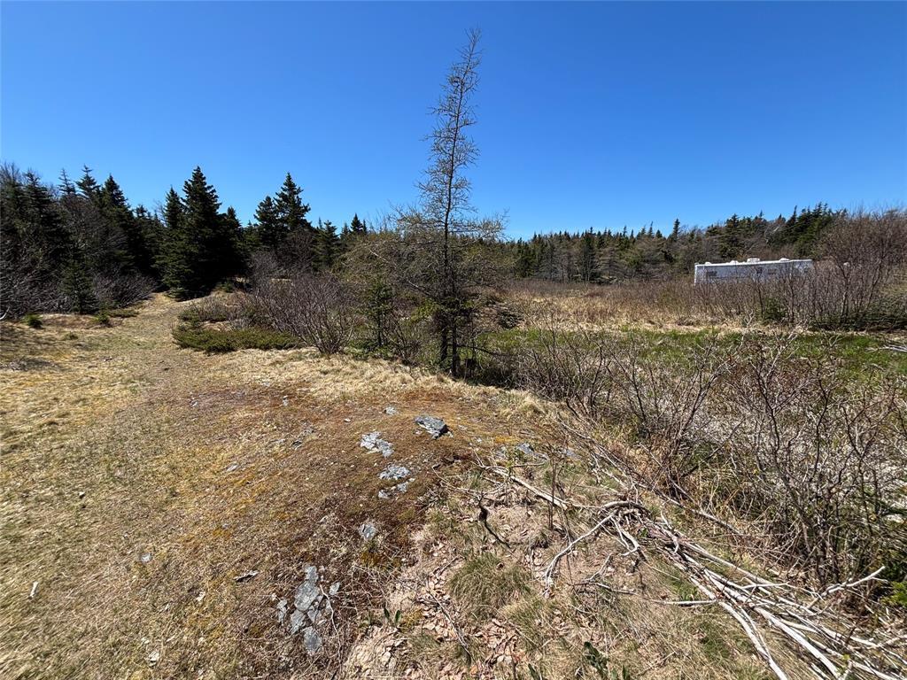 19-21 Lawrence Lane, Pouch Cove, NL