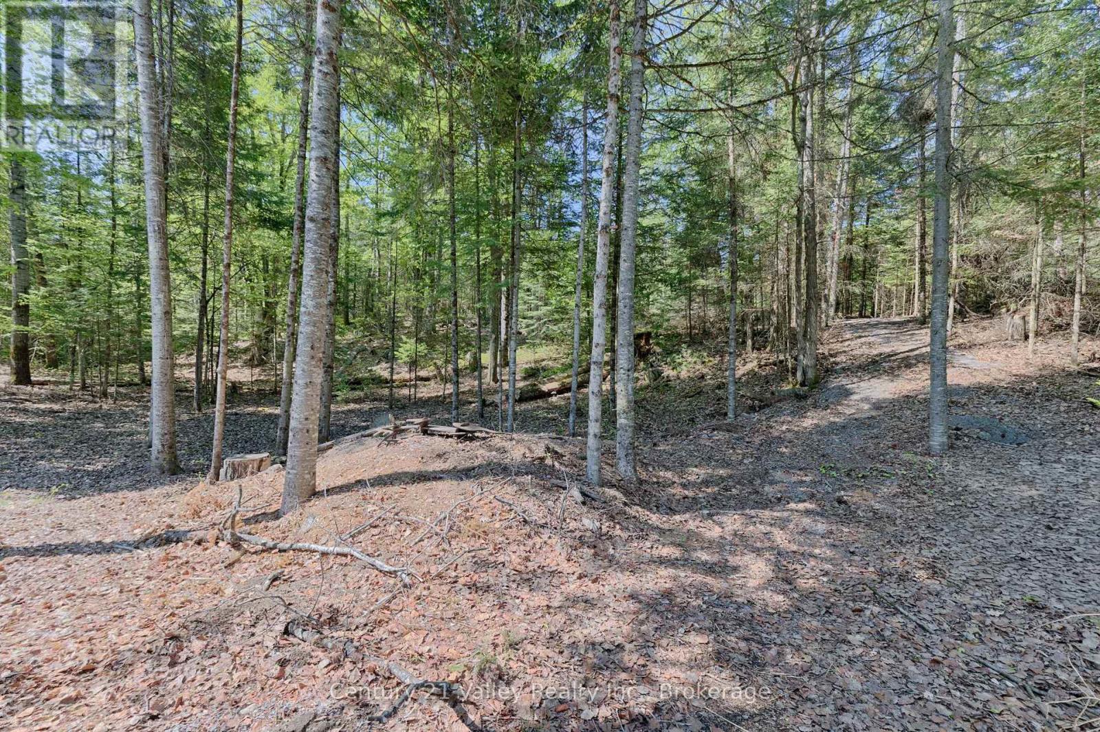 593 Inglis Road, Greater Madawaska, ON - Outdoor With View