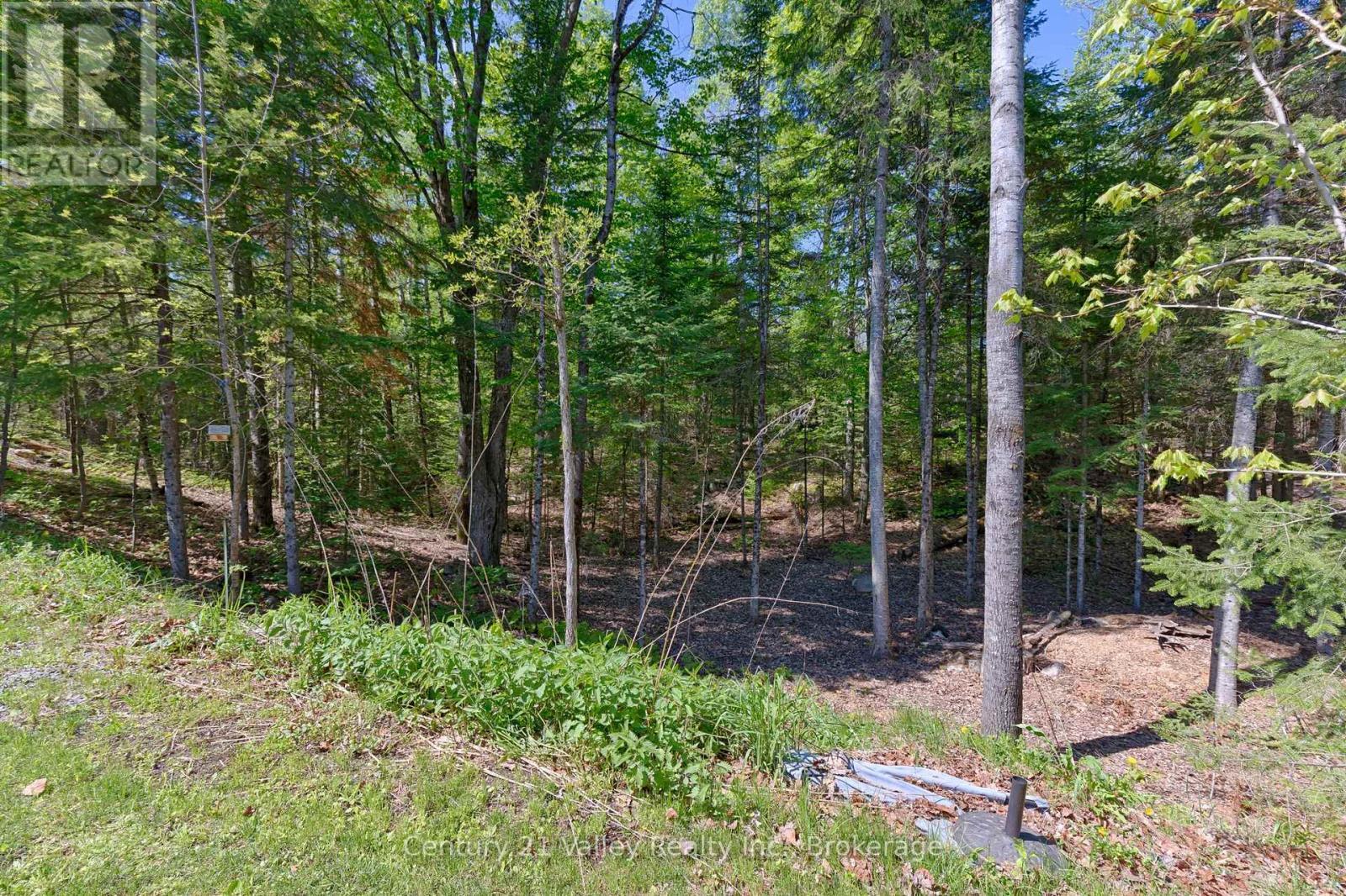 593 Inglis Road, Greater Madawaska, ON - Outdoor