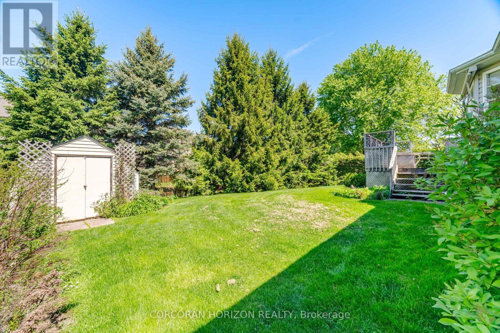 backyard - 71 Grayview Drive, Grey Highlands, ON - Outdoor