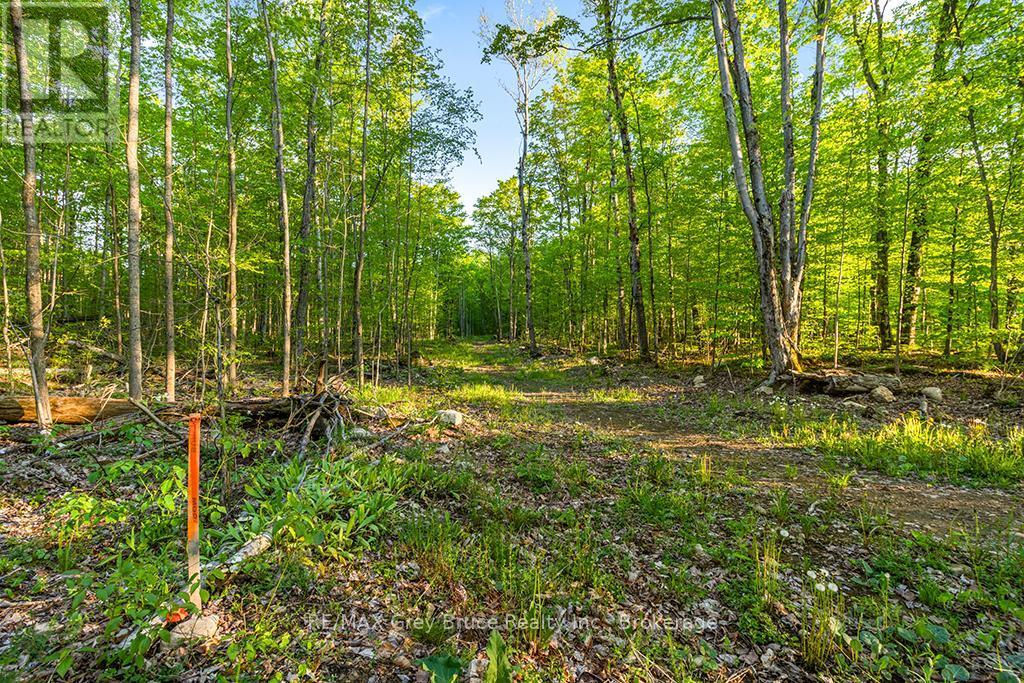 Part Lot 20 Concession Road 14 Concession, Georgian Bluffs, ON