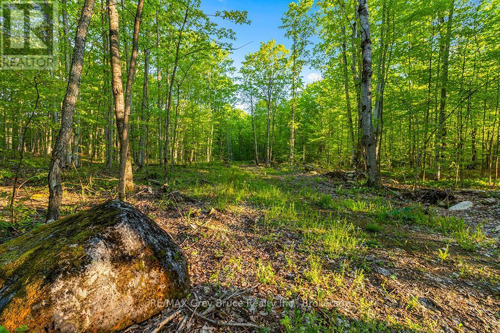 Part Lot 20 Concession Road 14 Concession, Georgian Bluffs, ON