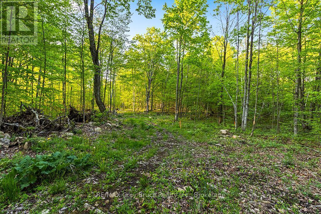 Part Lot 20 Concession Road 14 Concession, Georgian Bluffs, ON