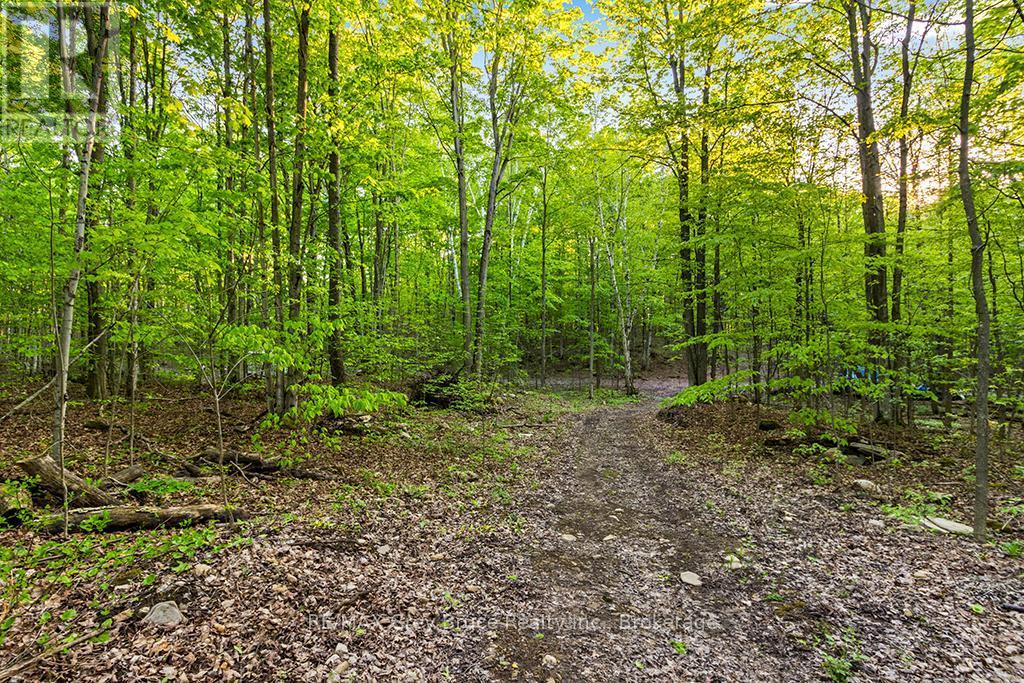 Part Lot 20 Concession Road 14 Concession, Georgian Bluffs, ON