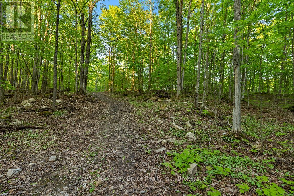 Part Lot 20 Concession Road 14 Concession, Georgian Bluffs, ON