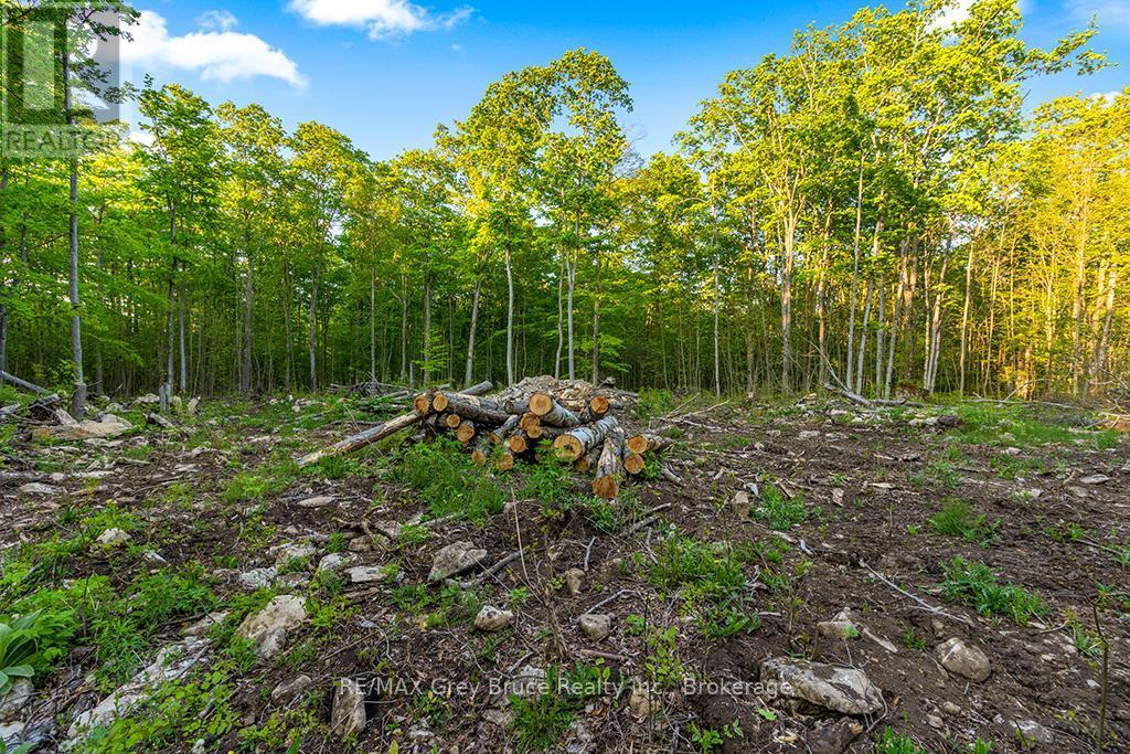 Part Lot 20 Concession Road 14 Concession, Georgian Bluffs, ON