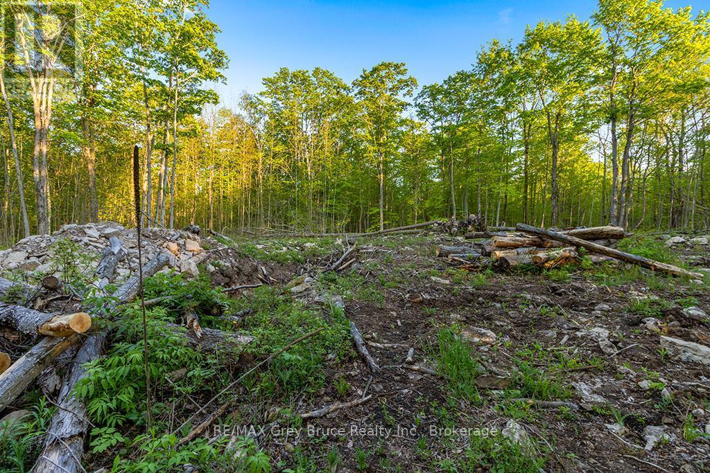 Part Lot 20 Concession Road 14 Concession, Georgian Bluffs, ON