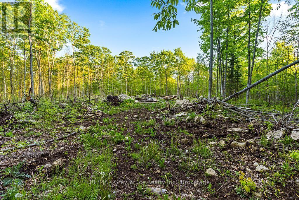 Part Lot 20 Concession Road 14 Concession, Georgian Bluffs, ON