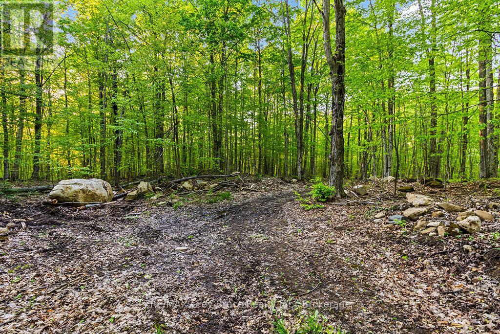 Part Lot 20 Concession Road 14 Concession, Georgian Bluffs, ON