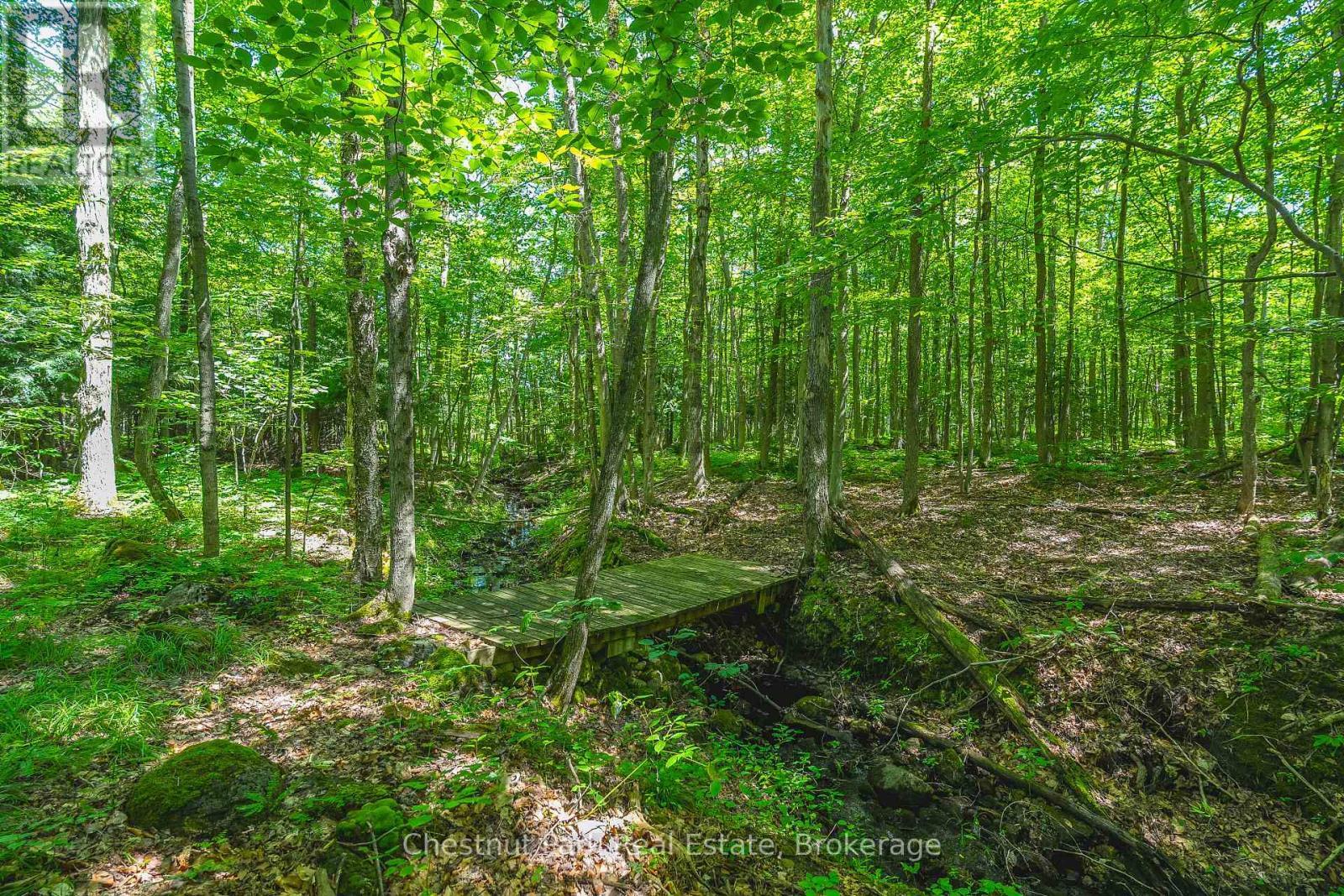 TRICKLING STREAM - 600380 Sideroad 50 N, Chatsworth, ON - Outdoor