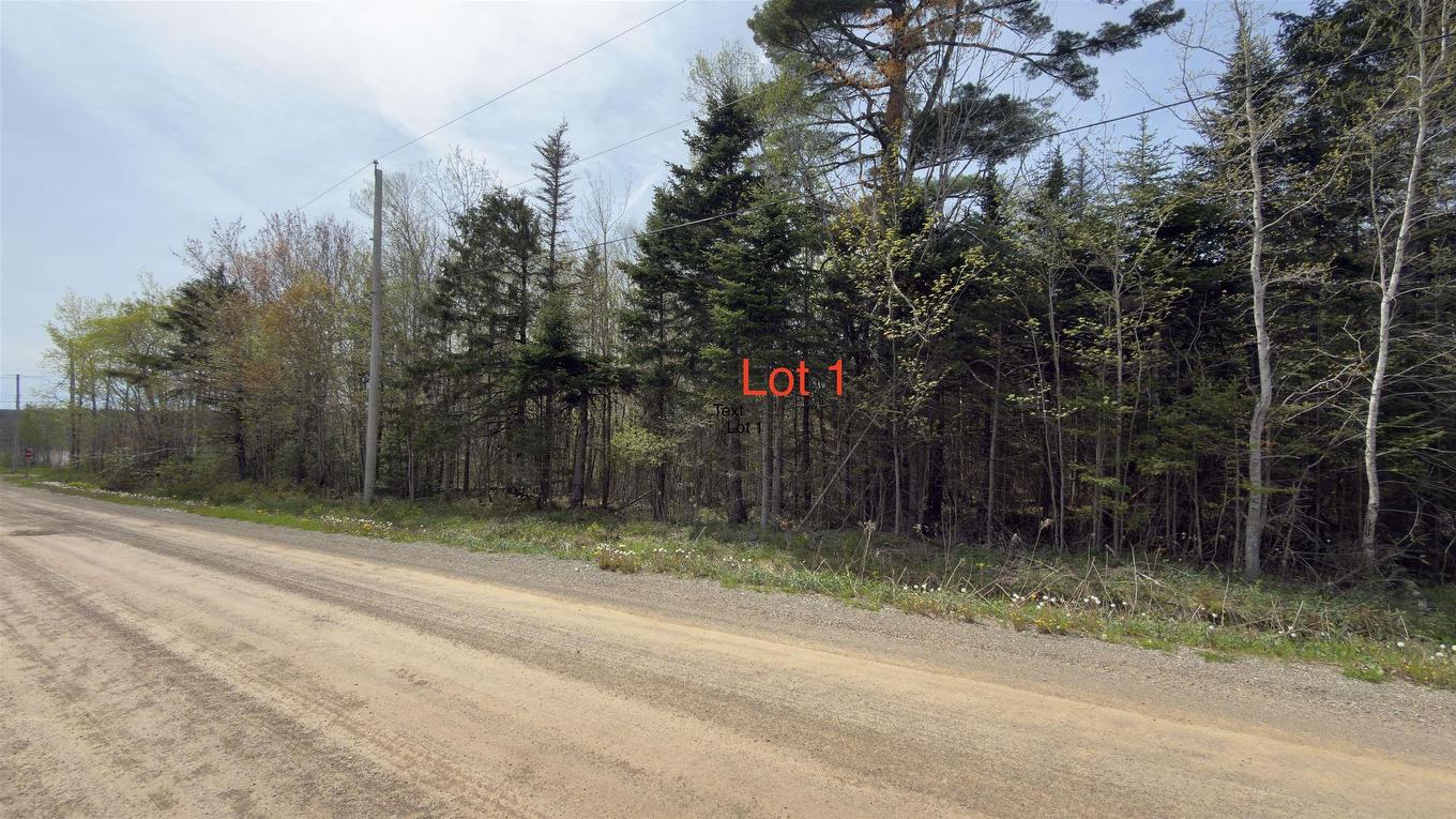 Lot 26-1 Beech Hill Road, Princeport, NS