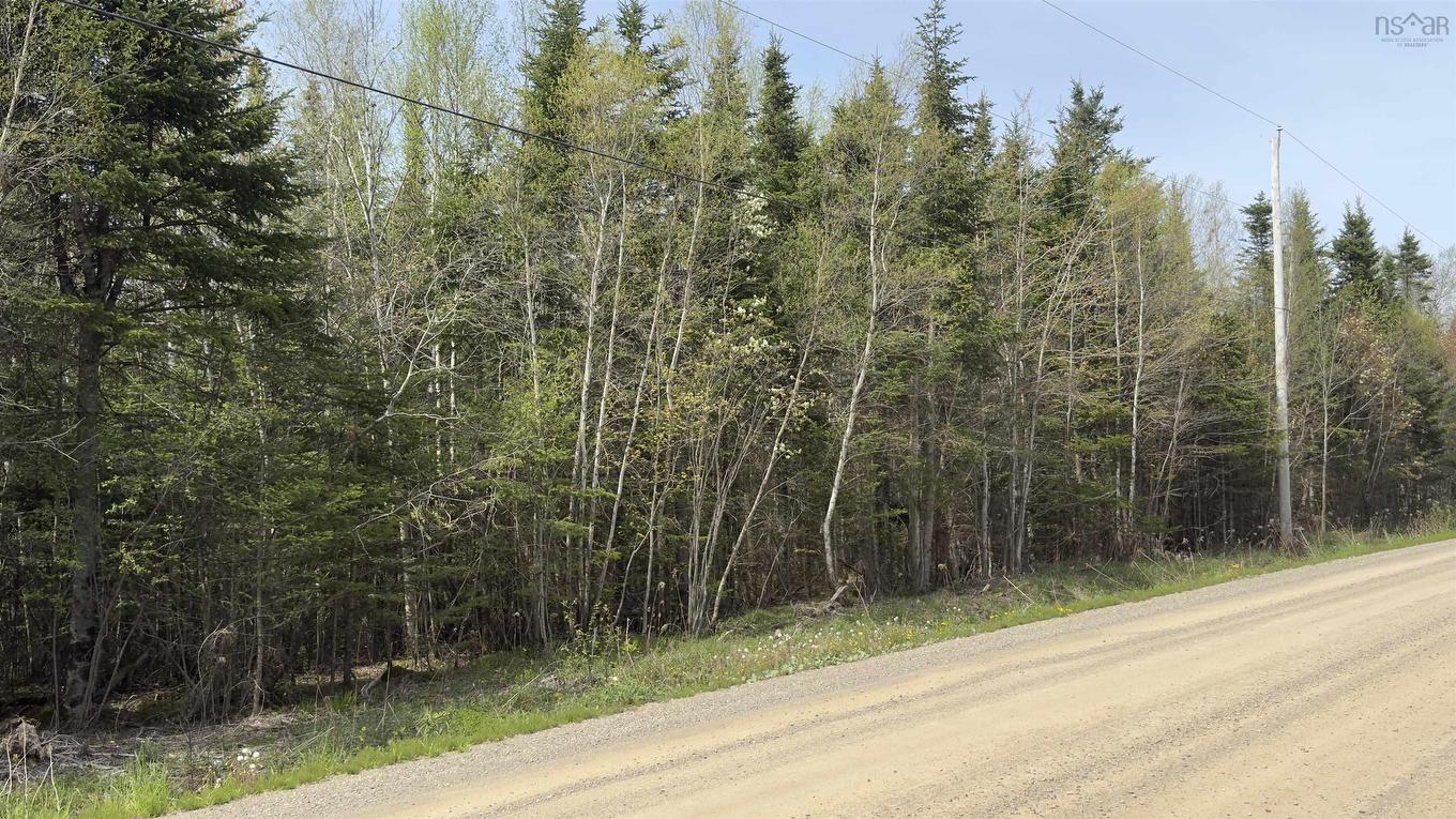 Lot 26-1 Beech Hill Road, Princeport, NS