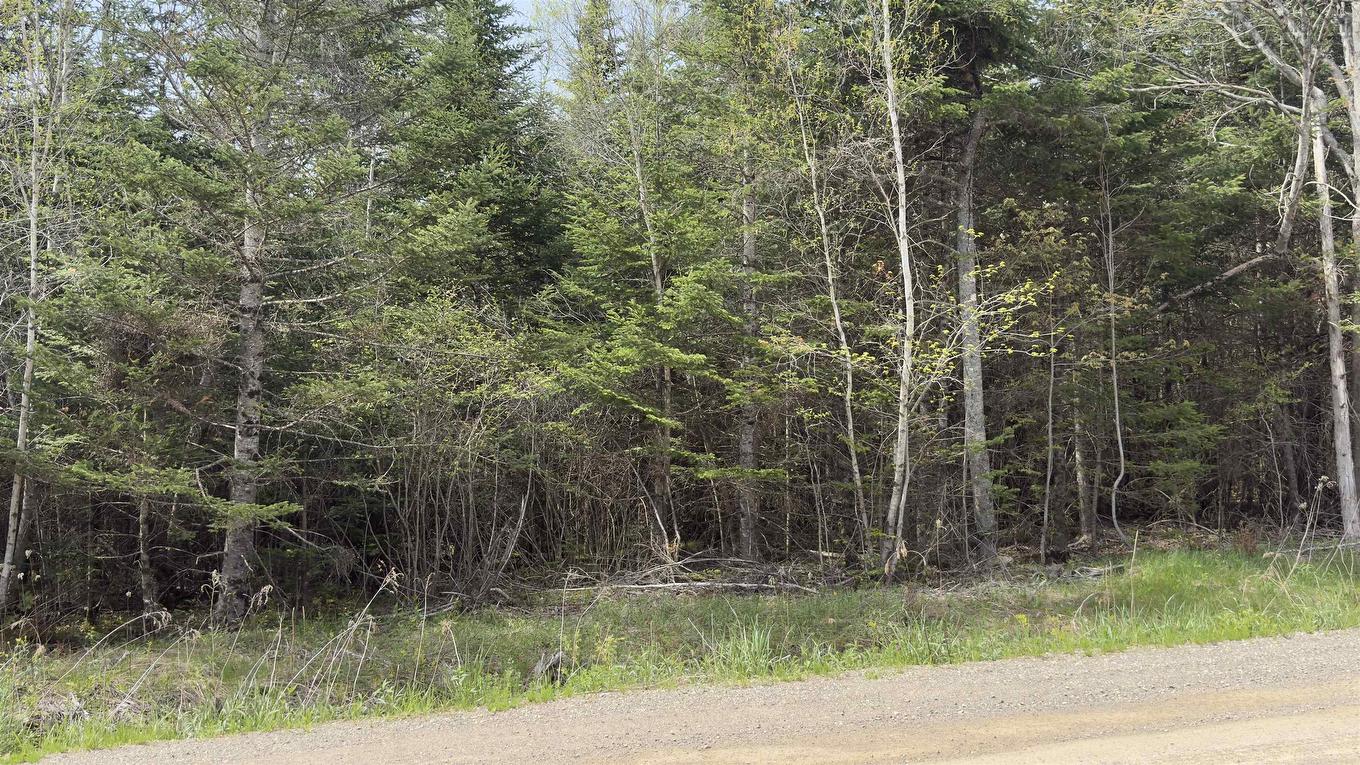 Lot 26-2 Beech Hill Road, Princeport, NS