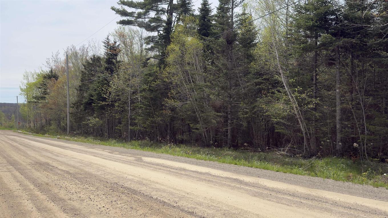Lot 26-2 Beech Hill Road, Princeport, NS