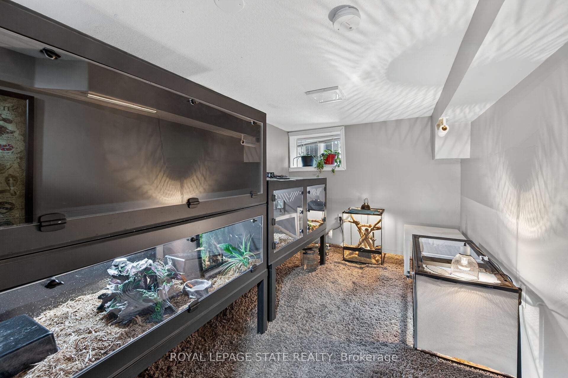 219 Hess Street S, Hamilton, ON - Indoor