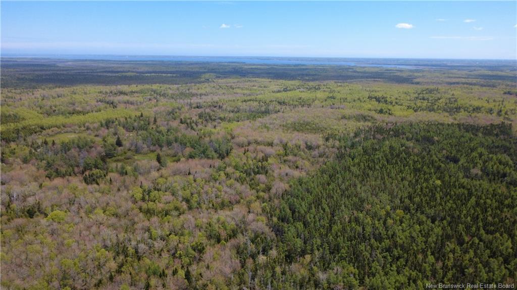 393 Route 320, Anse-Bleue, NB