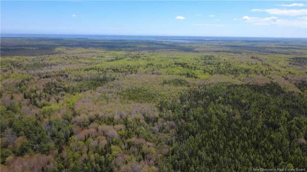 393 Route 320, Anse-Bleue, NB
