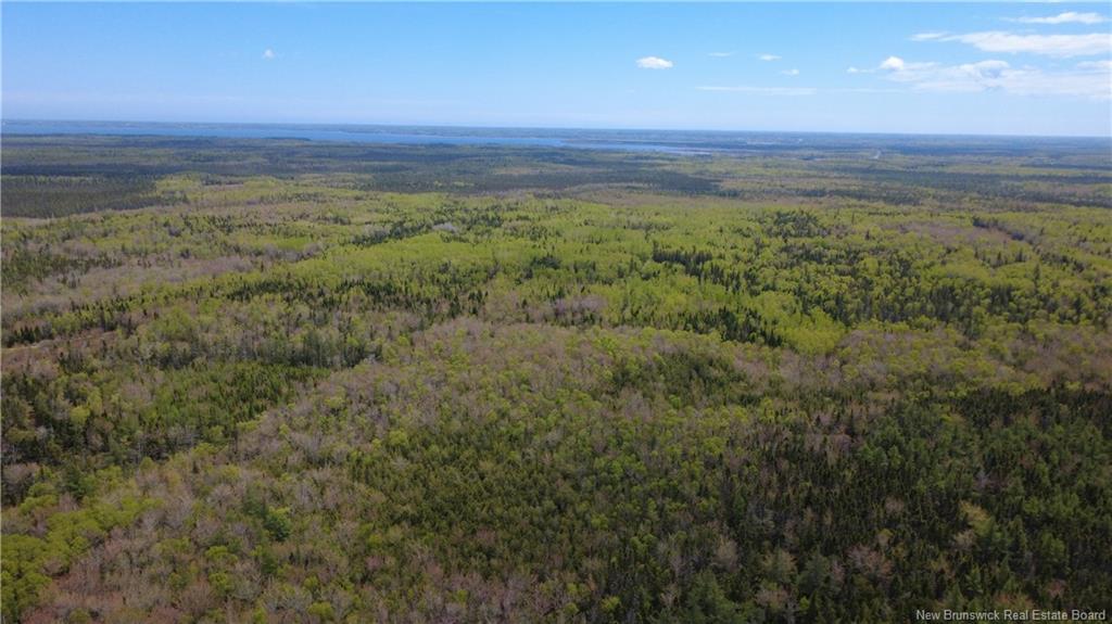 393 Route 320, Anse-Bleue, NB