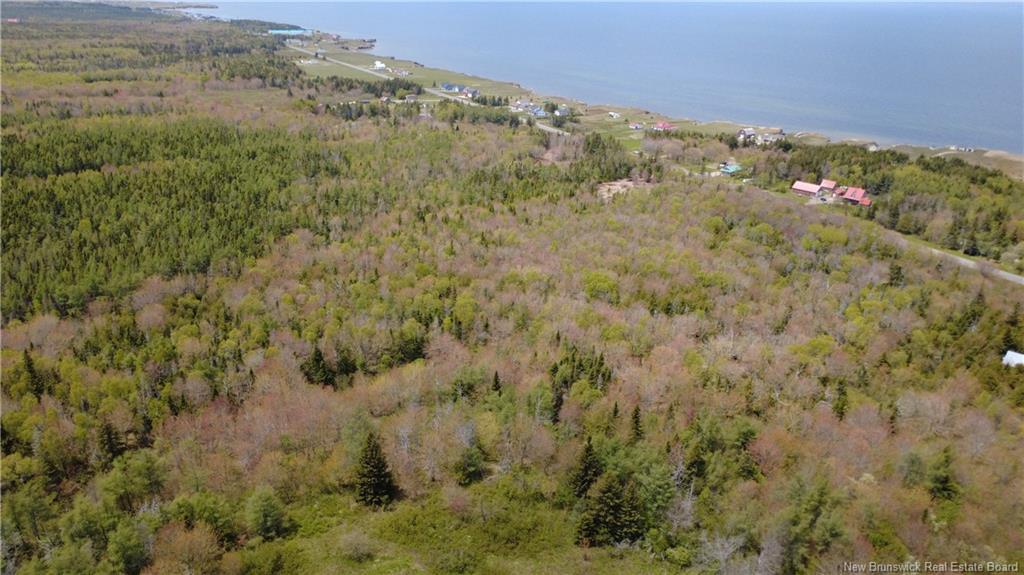 393 Route 320, Anse-Bleue, NB