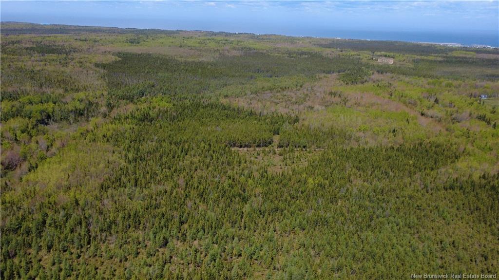 393 Route 320, Anse-Bleue, NB