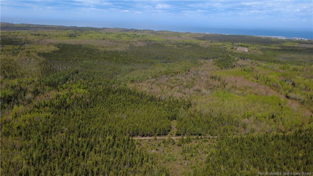 393 Route 320, Anse-Bleue, NB