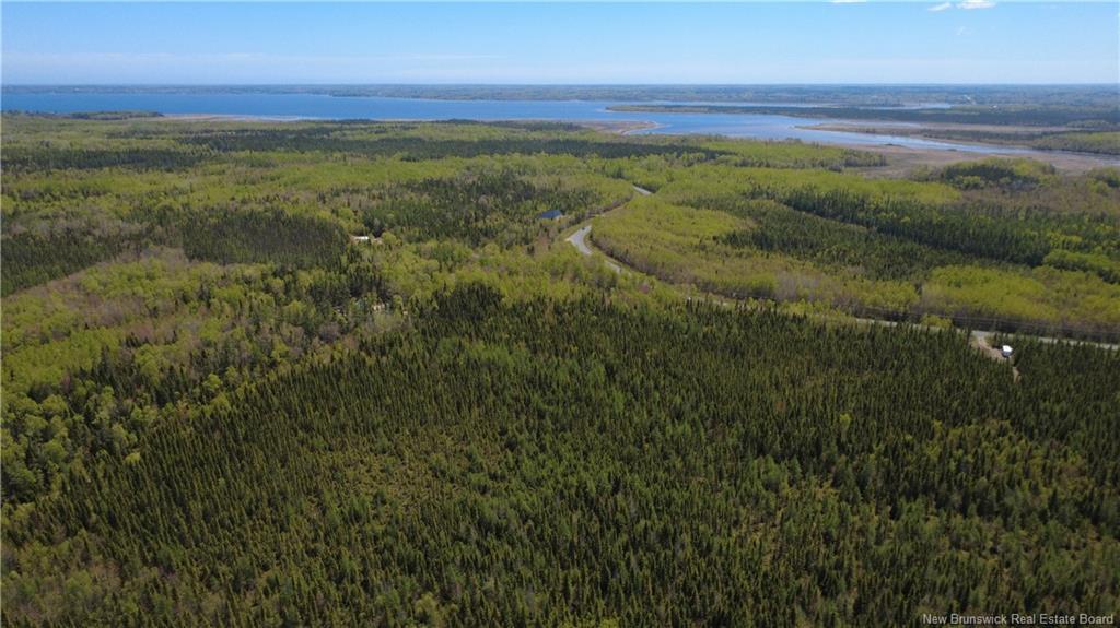 393 Route 320, Anse-Bleue, NB