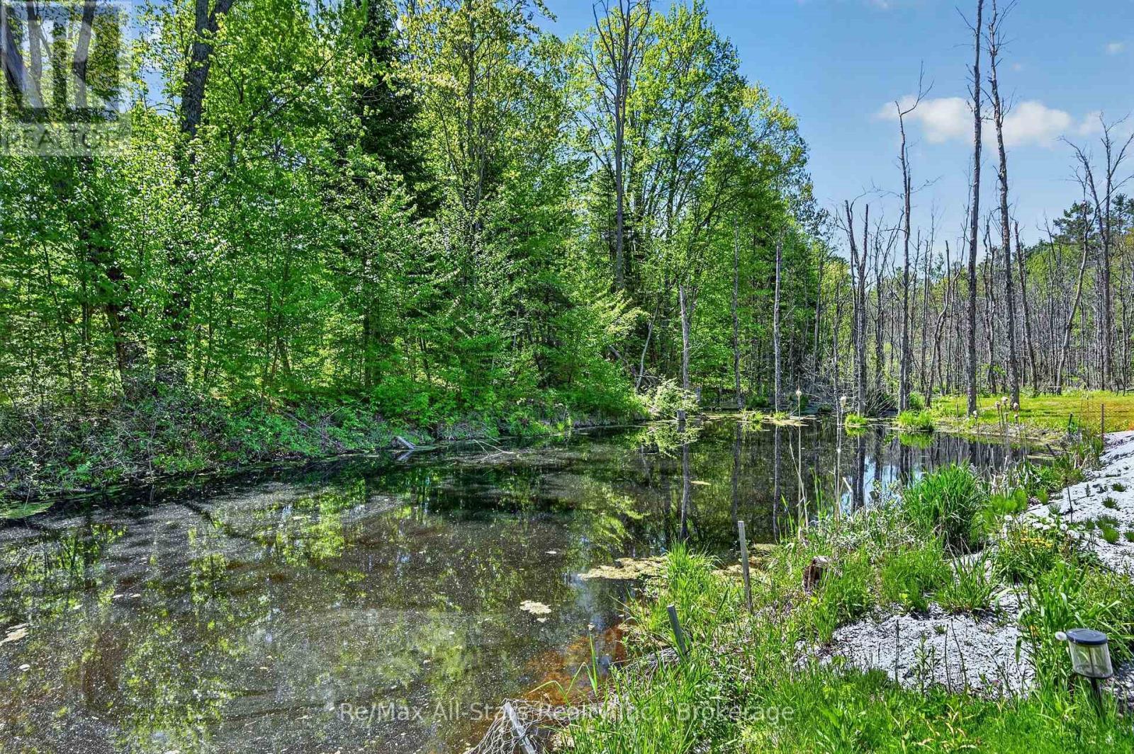 28 Pine Ridge Road, Kawartha Lakes (Norland), ON - Outdoor