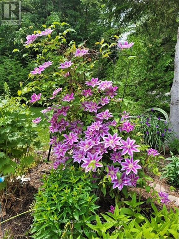 28 Pine Ridge Road, Kawartha Lakes (Norland), ON - Outdoor
