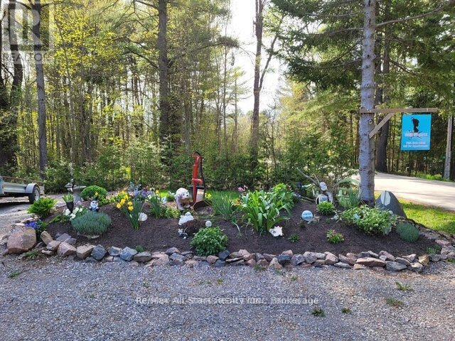 28 Pine Ridge Road, Kawartha Lakes (Norland), ON - Outdoor