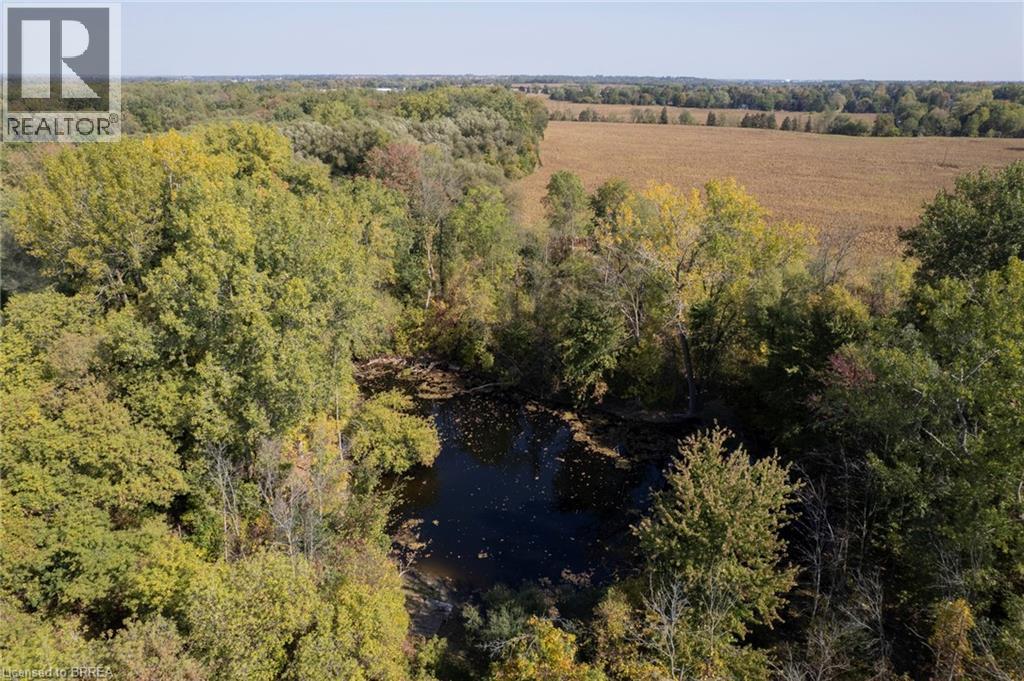 206 King Street, Burford, ON - Outdoor With View