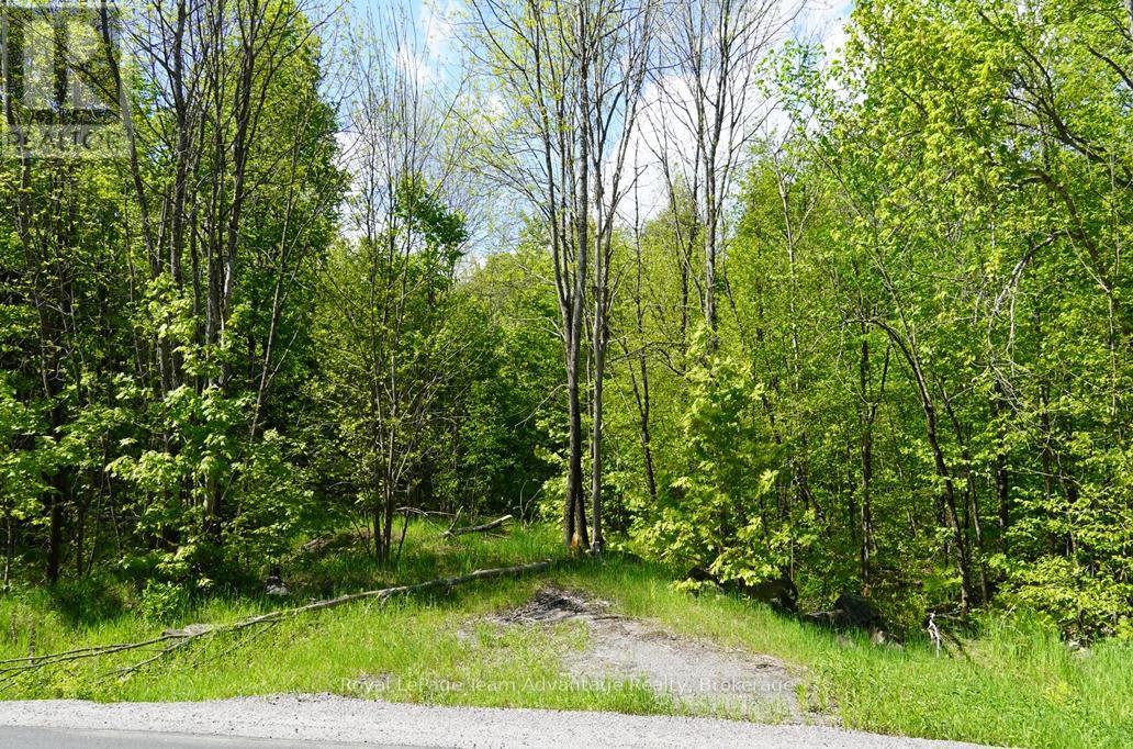0 Hurdville Road S, Mckellar, ON