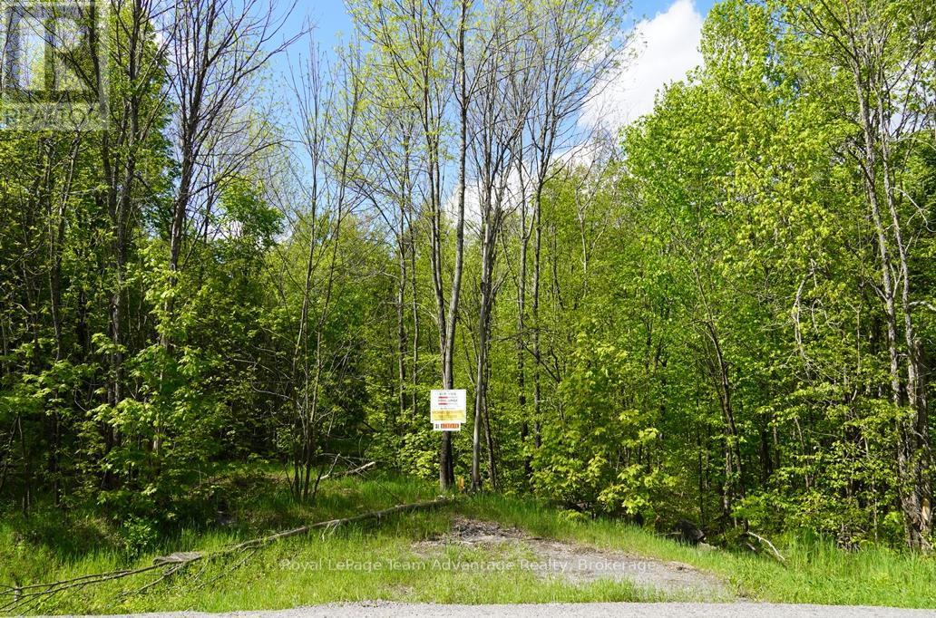 0 Hurdville Road S, Mckellar, ON