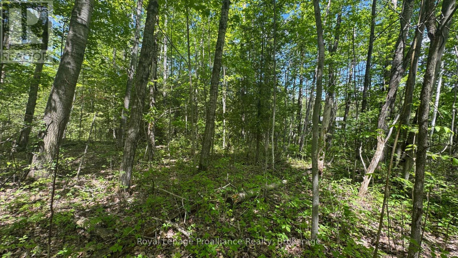 0 Teal Road, Quinte West (Murray Ward), ON